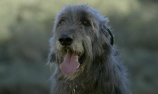 谁还不是个宝宝 谁还不是个宝宝