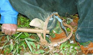 山上的女人是老虎 山上的女人是老虎