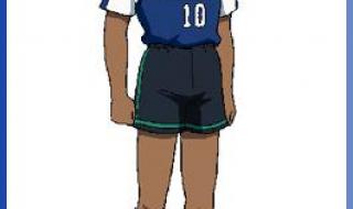 足球小将2游戏密码