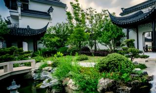 上海到乌镇一日游 上海到乌镇一日游