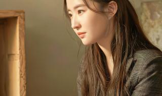 去有风的地方大结局 去有风的地方大结局