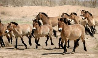 西宁市野生动物园