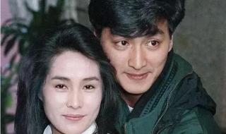 何家劲演过的电视剧