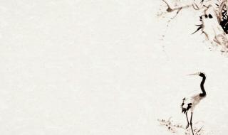 李清照最好的十首诗 李清照最好的十首诗