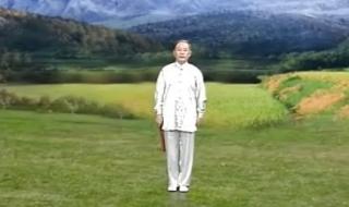 中国功夫太极扇教学 中国功夫太极扇教学