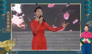 桃花红杏花白原唱