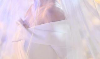 张馨予图片 张馨予图片