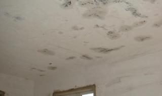 专业修理屋顶漏水 专业修理屋顶漏水