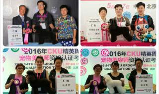 宠物美容师学费多少 宠物美容师学费多少