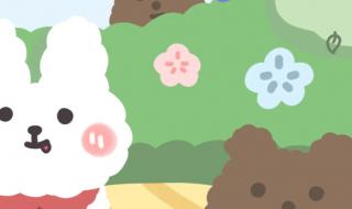 仙女必备的小熊壁纸