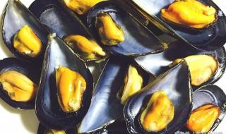 假期去海边不要吃海虹