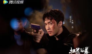 扫黑风暴送审样片 扫黑风暴送审样片