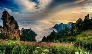 五月花六月丁香花