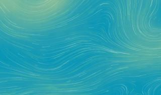 google手机 google手机