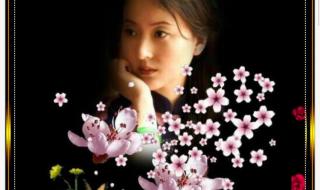 思思念念都是你 思思念念都是你