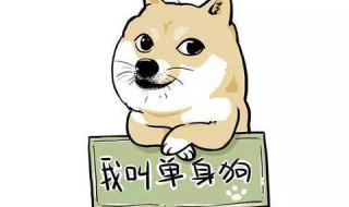 中国单身人口超2亿 中国单身人口超2亿