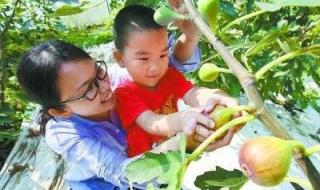 亚当夏娃偷吃禁果 亚当夏娃偷吃禁果