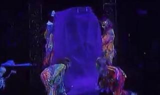 1992年杰克逊演唱会 1992年杰克逊演唱会