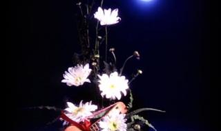 守住一颗宁静的心 守住一颗宁静的心