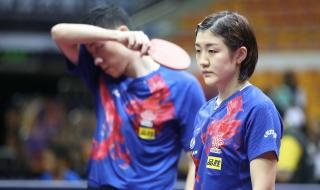 王楚钦陈梦谈恋爱 王楚钦陈梦谈恋爱